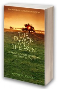 The Power and The Pain Book by Andrew Holecek